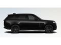 resized_354009204684be1afa40c2.png