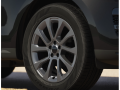 resized_209508039269ff115a4e764.png