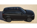 resized_34003059169ff115ac9408.png