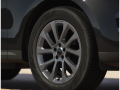 resized_177959731569ff302b4200a.png