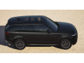 resized_49136655569ff302bb1e9a.png