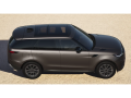 resized_132647584669ff316f36fa0.png