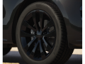 resized_3093355026a2fe914699eb.png